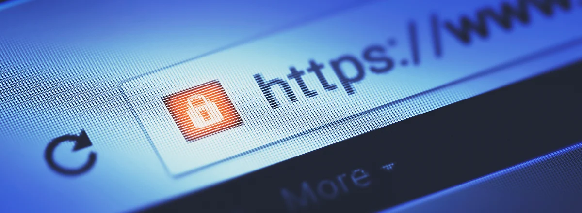 这个网站安全吗?您的完整网站安全检查指南 - 主图